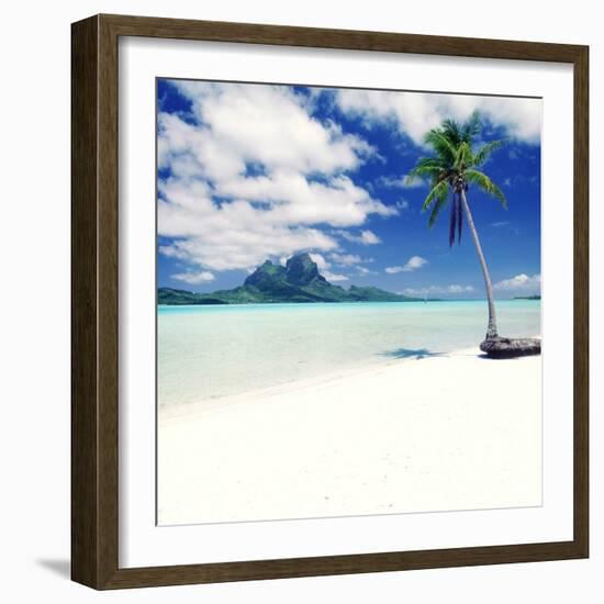 Palm Tree on a Tropical Beach-null-Framed Photographic Print