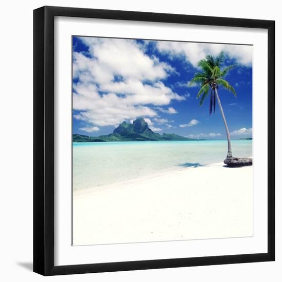 Palm Tree on a Tropical Beach-null-Framed Photographic Print