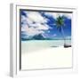 Palm Tree on a Tropical Beach-null-Framed Photographic Print