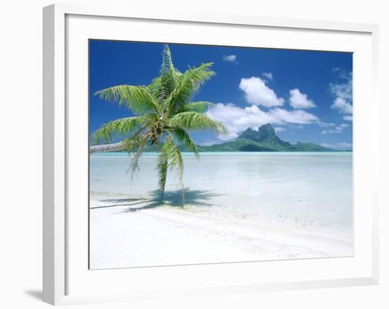 Palm Tree on a Tropical Beach-null-Framed Photographic Print