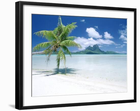 Palm Tree on a Tropical Beach-null-Framed Photographic Print