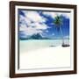 Palm Tree on a Tropical Beach-null-Framed Photographic Print