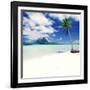 Palm Tree on a Tropical Beach-null-Framed Photographic Print