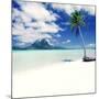 Palm Tree on a Tropical Beach-null-Mounted Photographic Print