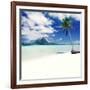 Palm Tree on a Tropical Beach-null-Framed Photographic Print