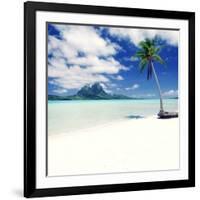 Palm Tree on a Tropical Beach-null-Framed Photographic Print