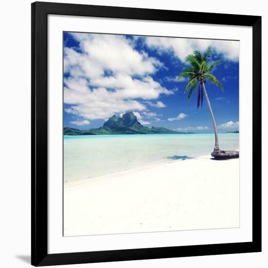 Palm Tree on a Tropical Beach-null-Framed Photographic Print