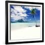 Palm Tree on a Tropical Beach-null-Framed Photographic Print