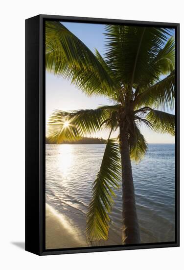 Palm Tree on Beach at Hauru Point, Mo'Orea, Society Islands, French Polynesia-Ian Trower-Framed Stretched Canvas