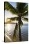 Palm Tree on Beach at Hauru Point, Mo'Orea, Society Islands, French Polynesia-Ian Trower-Stretched Canvas