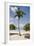 Palm Tree on Beach at Magens Bay-Macduff Everton-Framed Photographic Print