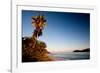 Palm Tree on Beach at Sunset, Culebra Island, Puerto Rico-null-Framed Photographic Print