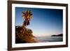 Palm Tree on Beach at Sunset, Culebra Island, Puerto Rico-null-Framed Photographic Print