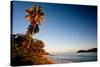 Palm Tree on Beach at Sunset, Culebra Island, Puerto Rico-null-Stretched Canvas
