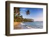 Palm Tree on Mirissa Beach, South Coast, Southern Province, Sri Lanka, Asia-Matthew Williams-Ellis-Framed Photographic Print