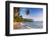 Palm Tree on Mirissa Beach, South Coast, Southern Province, Sri Lanka, Asia-Matthew Williams-Ellis-Framed Photographic Print