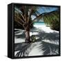 Palm Tree on Sandy Beach-null-Framed Stretched Canvas
