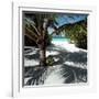 Palm Tree on Sandy Beach-null-Framed Photographic Print