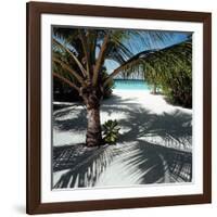 Palm Tree on Sandy Beach-null-Framed Photographic Print