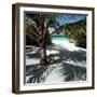 Palm Tree on Sandy Beach-null-Framed Photographic Print