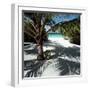 Palm Tree on Sandy Beach-null-Framed Photographic Print