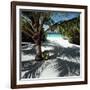 Palm Tree on Sandy Beach-null-Framed Photographic Print