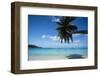 Palm tree on the beach, Bora Bora, Society Islands, French Polynesia-Panoramic Images-Framed Photographic Print