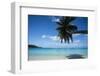 Palm tree on the beach, Bora Bora, Society Islands, French Polynesia-Panoramic Images-Framed Photographic Print