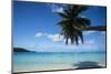 Palm tree on the beach, Bora Bora, Society Islands, French Polynesia-Panoramic Images-Mounted Photographic Print