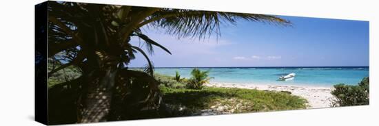 Palm Tree on the Beach, Caribbean Sea, Punta Bete, Yucatan, Mexico-null-Stretched Canvas