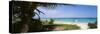 Palm Tree on the Beach, Caribbean Sea, Punta Bete, Yucatan, Mexico-null-Stretched Canvas