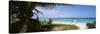 Palm Tree on the Beach, Caribbean Sea, Punta Bete, Yucatan, Mexico-null-Stretched Canvas