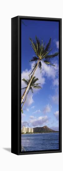 Palm Tree on the Beach, Diamond Head, Waikiki Beach, Honolulu, Oahu, Hawaii, Usa-null-Framed Stretched Canvas