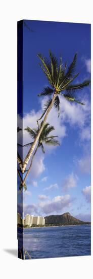 Palm Tree on the Beach, Diamond Head, Waikiki Beach, Honolulu, Oahu, Hawaii, Usa-null-Stretched Canvas