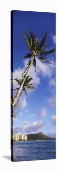 Palm Tree on the Beach, Diamond Head, Waikiki Beach, Honolulu, Oahu, Hawaii, Usa-null-Stretched Canvas