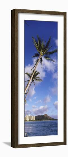 Palm Tree on the Beach, Diamond Head, Waikiki Beach, Honolulu, Oahu, Hawaii, Usa-null-Framed Photographic Print