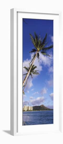 Palm Tree on the Beach, Diamond Head, Waikiki Beach, Honolulu, Oahu, Hawaii, Usa-null-Framed Photographic Print