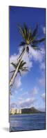 Palm Tree on the Beach, Diamond Head, Waikiki Beach, Honolulu, Oahu, Hawaii, Usa-null-Mounted Photographic Print