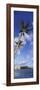 Palm Tree on the Beach, Diamond Head, Waikiki Beach, Honolulu, Oahu, Hawaii, Usa-null-Framed Photographic Print