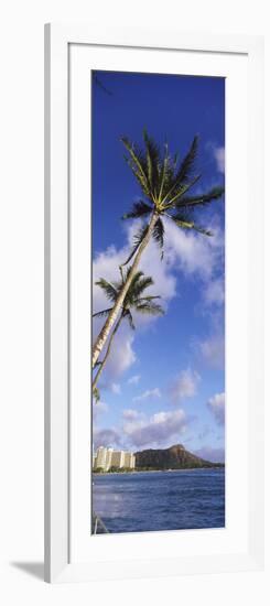 Palm Tree on the Beach, Diamond Head, Waikiki Beach, Honolulu, Oahu, Hawaii, Usa-null-Framed Photographic Print