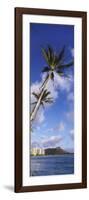 Palm Tree on the Beach, Diamond Head, Waikiki Beach, Honolulu, Oahu, Hawaii, Usa-null-Framed Photographic Print