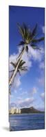 Palm Tree on the Beach, Diamond Head, Waikiki Beach, Honolulu, Oahu, Hawaii, Usa-null-Mounted Photographic Print