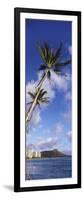 Palm Tree on the Beach, Diamond Head, Waikiki Beach, Honolulu, Oahu, Hawaii, Usa-null-Framed Photographic Print