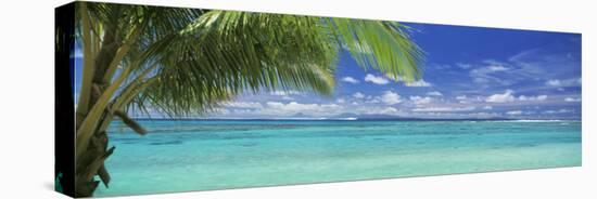 Palm Tree on the Beach, Huahine Island, Society Islands, French Polynesia-null-Stretched Canvas