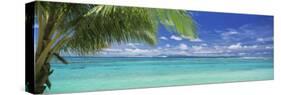Palm Tree on the Beach, Huahine Island, Society Islands, French Polynesia-null-Stretched Canvas