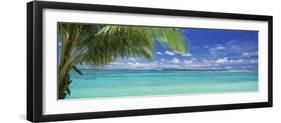 Palm Tree on the Beach, Huahine Island, Society Islands, French Polynesia-null-Framed Photographic Print