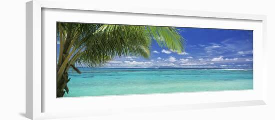 Palm Tree on the Beach, Huahine Island, Society Islands, French Polynesia-null-Framed Photographic Print