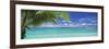 Palm Tree on the Beach, Huahine Island, Society Islands, French Polynesia-null-Framed Photographic Print