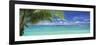 Palm Tree on the Beach, Huahine Island, Society Islands, French Polynesia-null-Framed Photographic Print