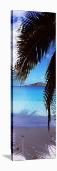 Palm Tree on the Beach, Maho Bay, Virgin Islands National Park, St. John, Us Virgin Islands-null-Stretched Canvas